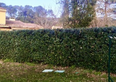 Bois et Jardins, paysagiste var