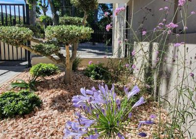 Bois et Jardins, paysagiste var