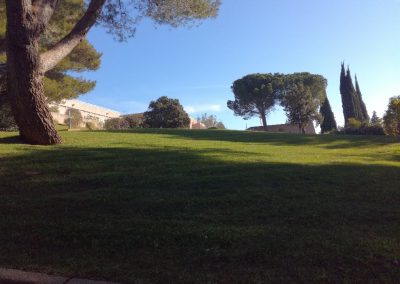 Bois et Jardins, paysagiste var