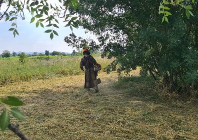 Bois et Jardins, paysagiste var