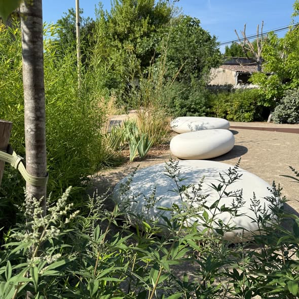 Création du jardin de la Médiathèque