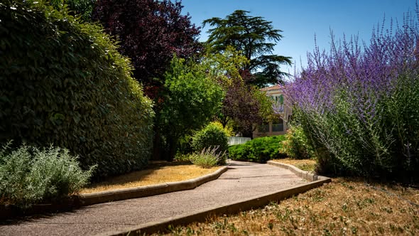 Jardin de Magdala
